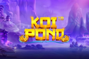 18218 koi pond